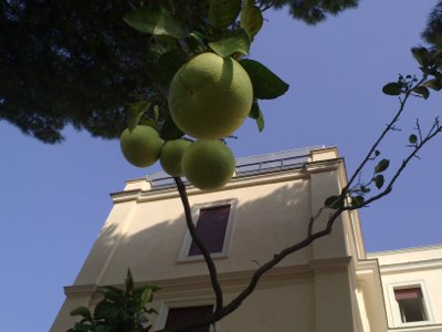 Apartement - Italië, Rome